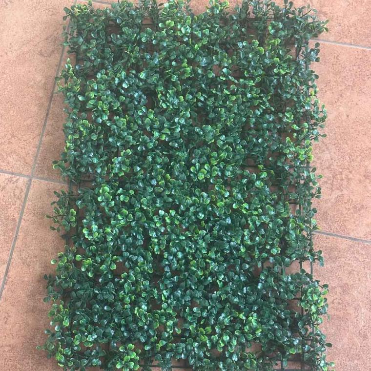 Загружен программно: img_7115.jpg