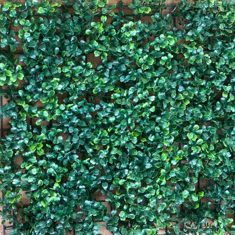 Загружен программно: img_7120.jpg