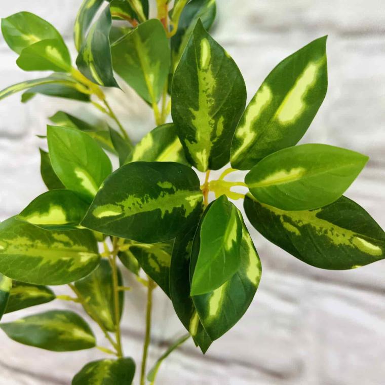 Загружен программно: img_7175.jpg