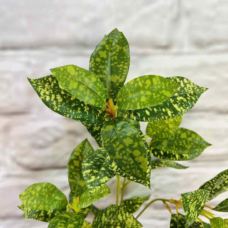 Загружен программно: img_7177.jpg