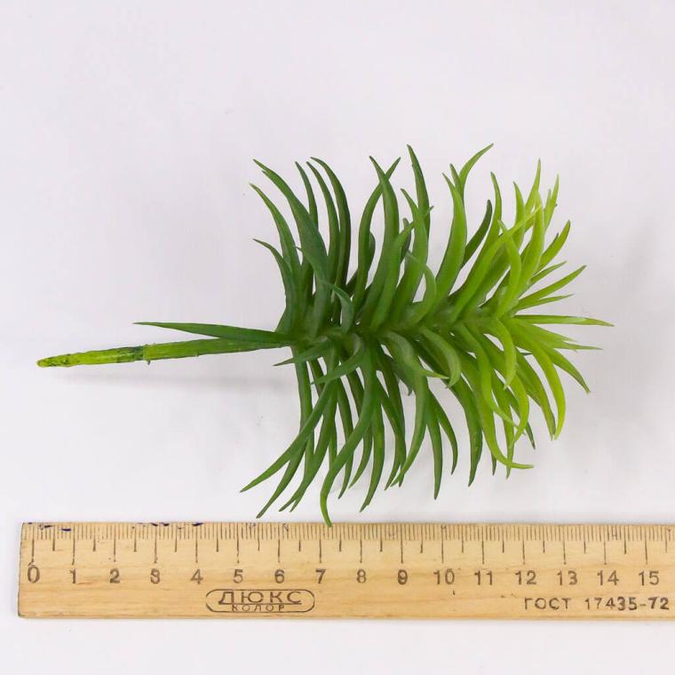 Загружен программно: img_7213.jpg