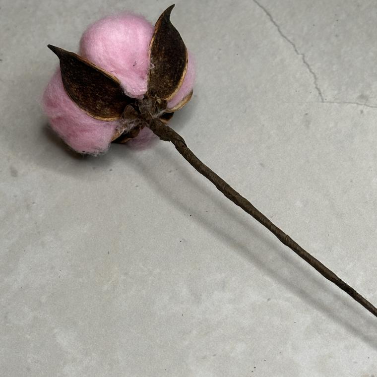 Загружен программно: img_7275.jpeg