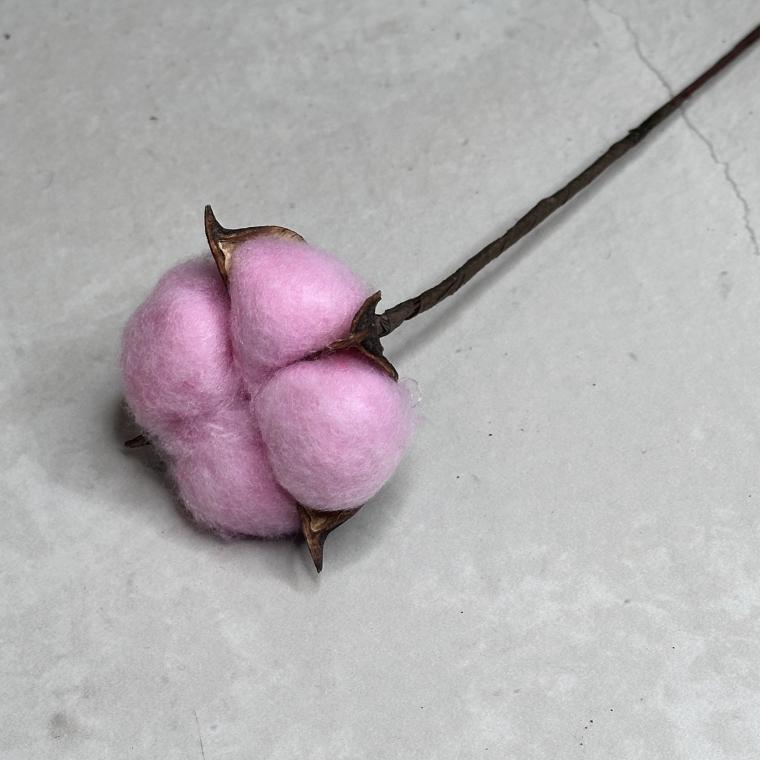 Загружен программно: img_7278.jpeg