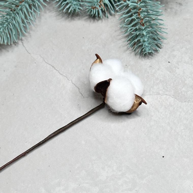 Загружен программно: img_7294.jpeg