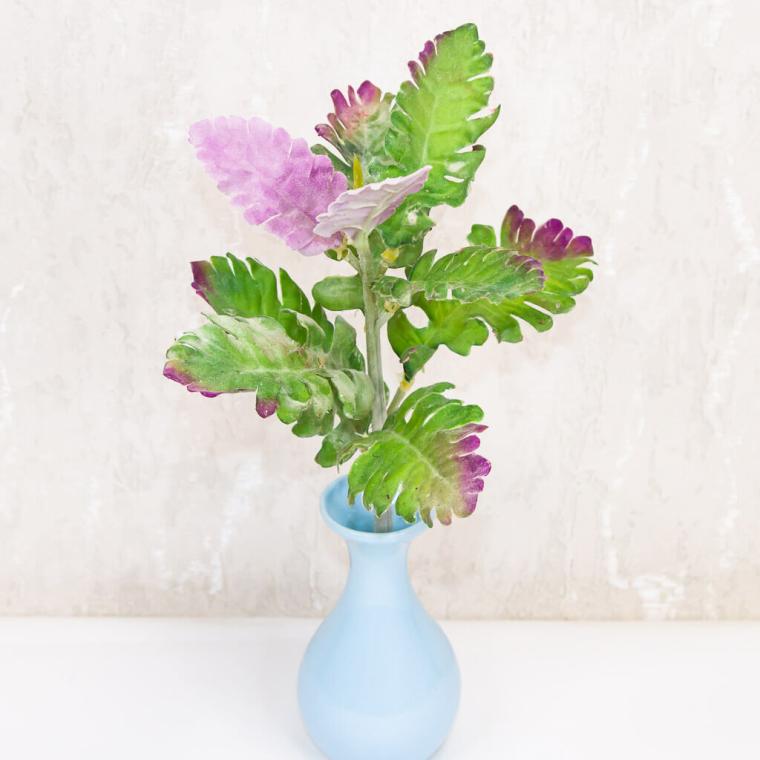 Загружен программно: img_7305.jpg