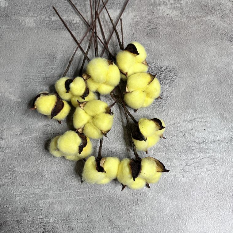 Загружен программно: img_7373.jpeg