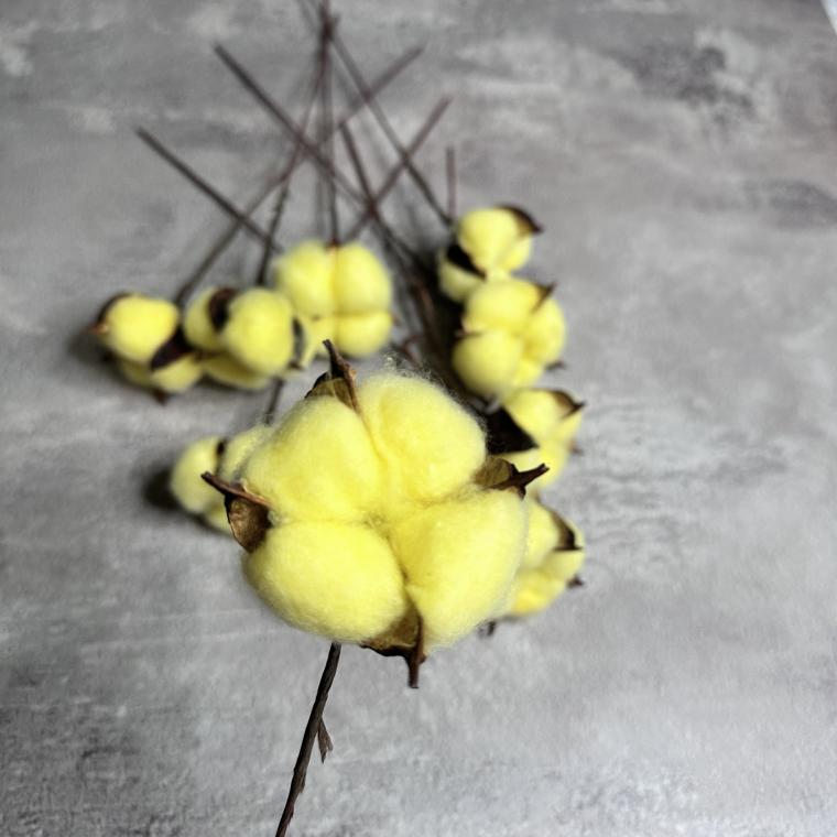 Загружен программно: img_7377.jpeg