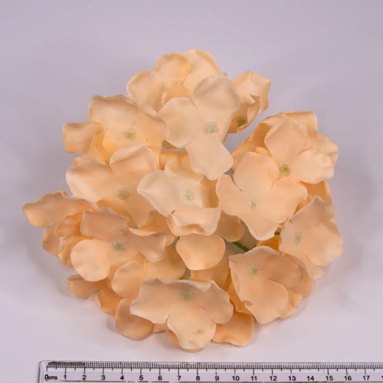 Загружен программно: img_7442.jpg