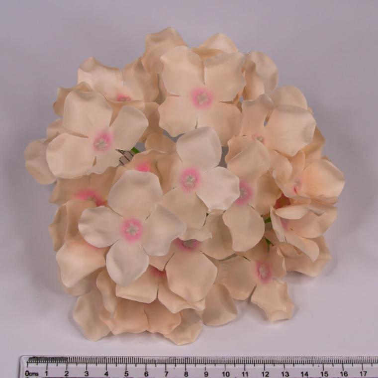 Загружен программно: img_7447.jpg