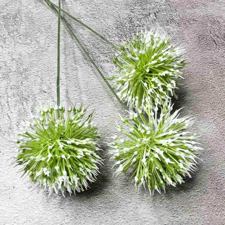 Загружен программно: img_7722.jpg