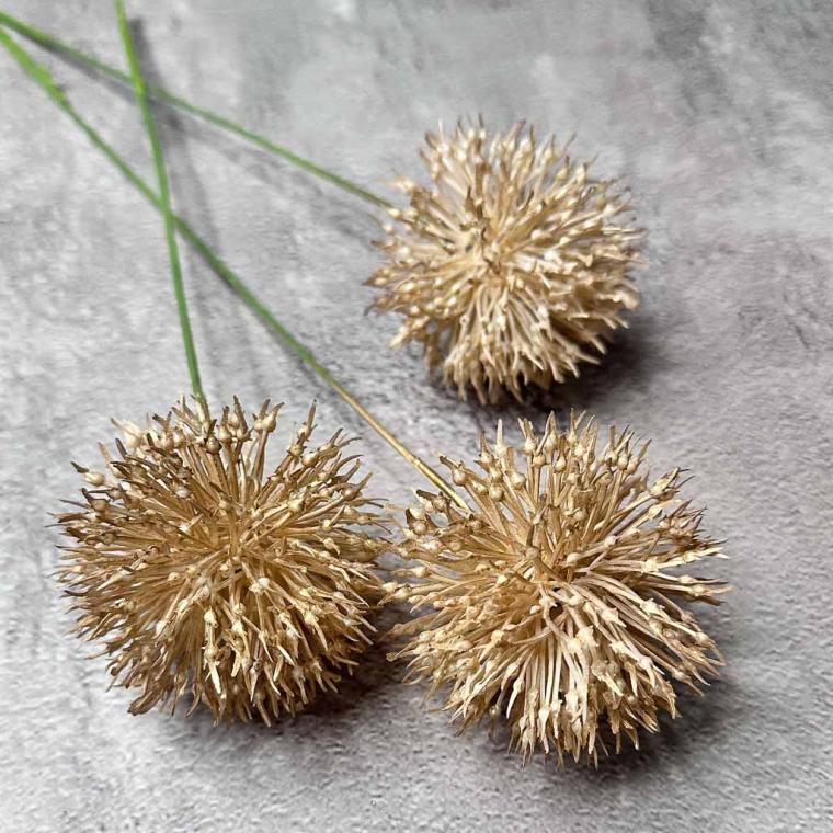 Загружен программно: img_7727.jpg