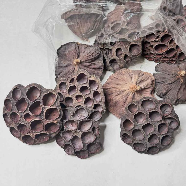 Загружен программно: img_7747.jpg