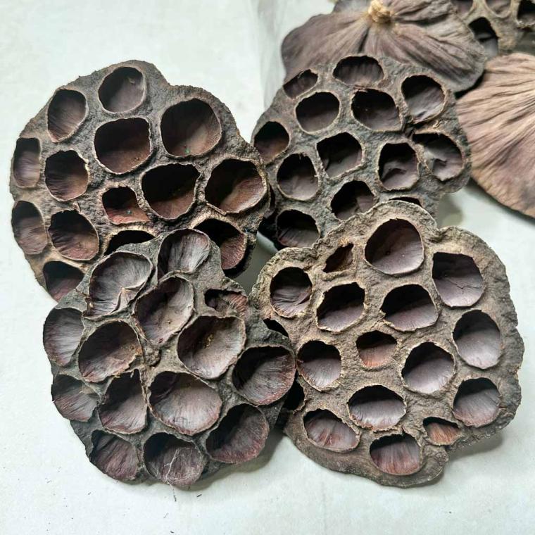 Загружен программно: img_7750.jpg