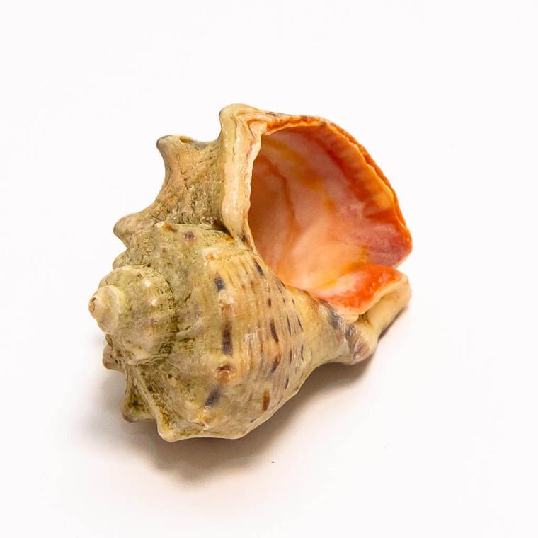 Загружен программно: img_7761.jpg