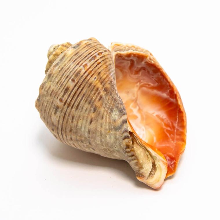 Загружен программно: img_7770.jpg