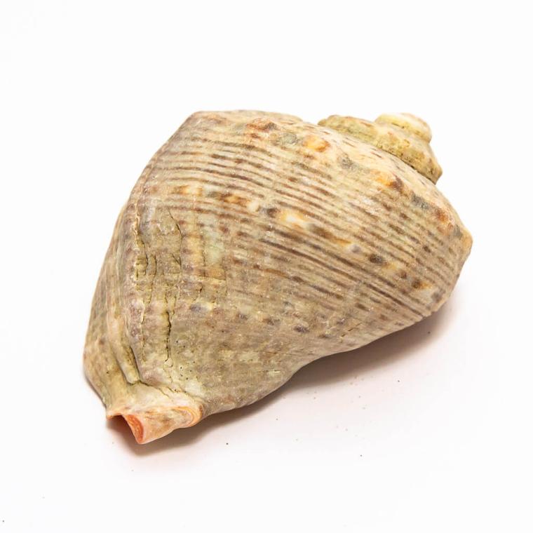 Загружен программно: img_7772.jpg