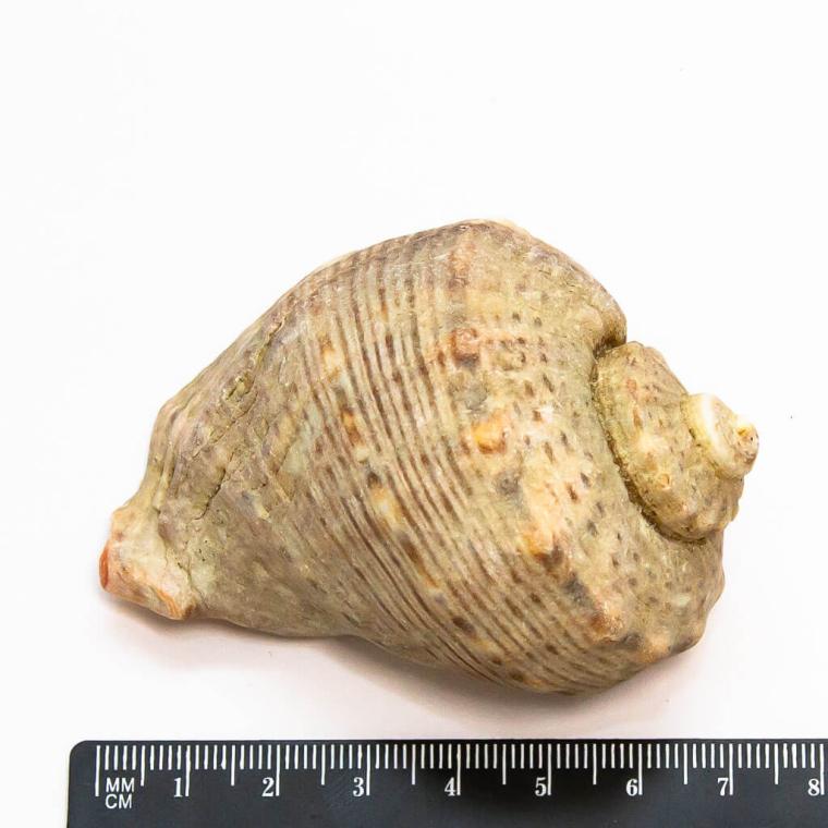 Загружен программно: img_7773.jpg