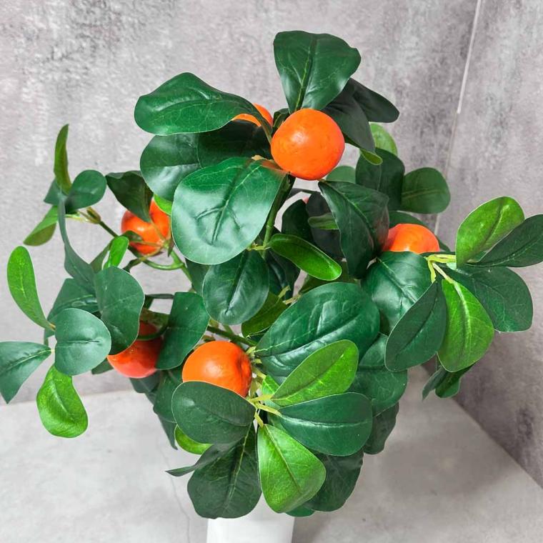 Загружен программно: img_7896.jpg