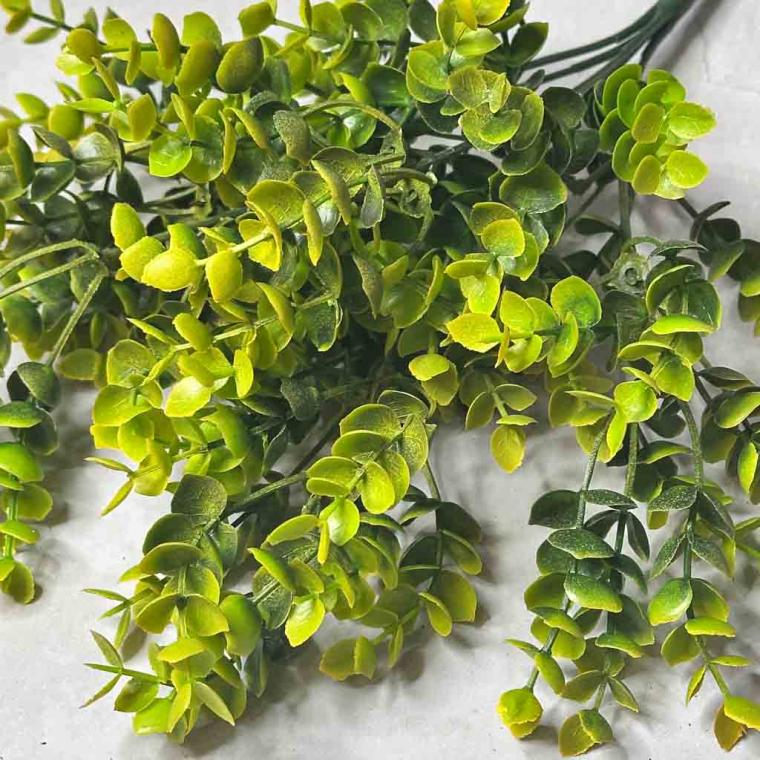 Загружен программно: img_7981.jpg