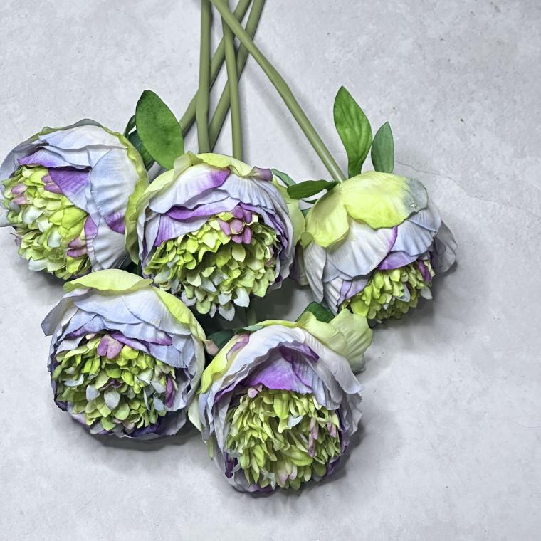 Загружен программно: img_8227.jpeg