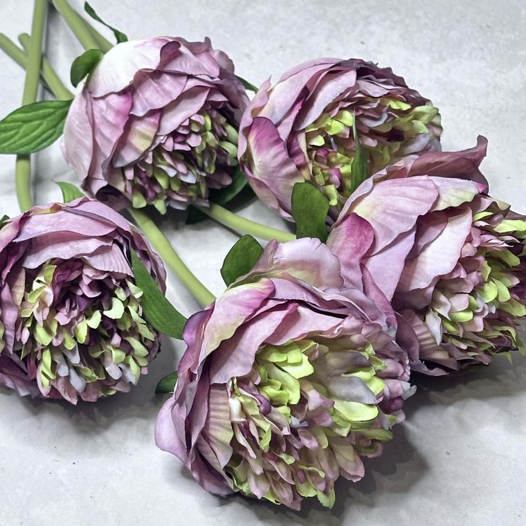 Загружен программно: img_8239.jpeg