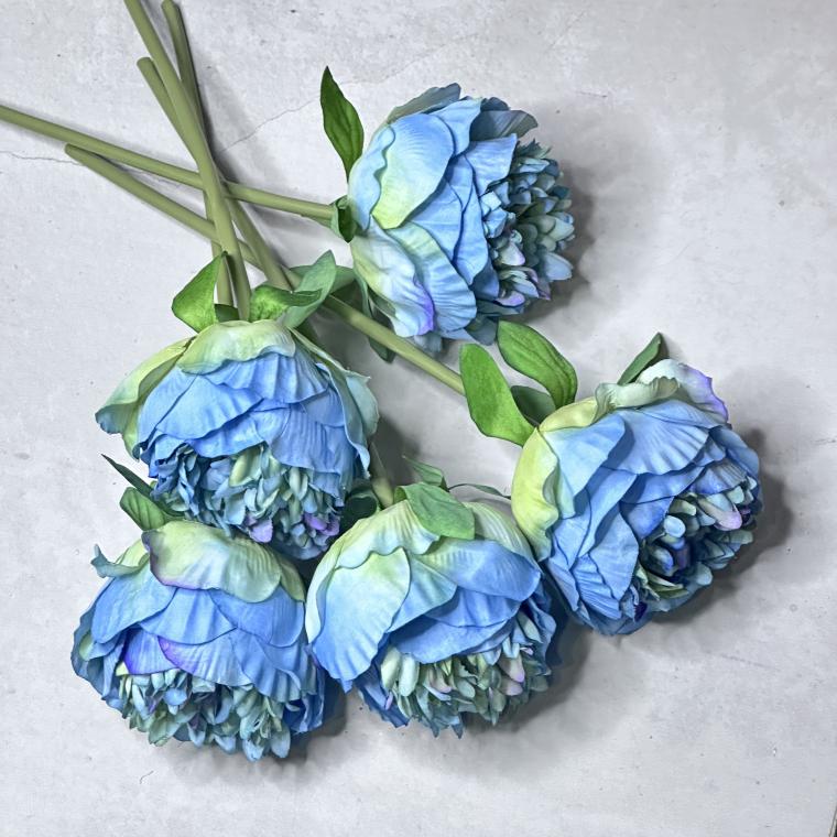 Загружен программно: img_8241.jpeg