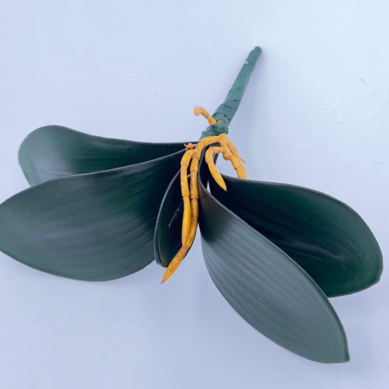 Загружен программно: img_8399_0.jpeg