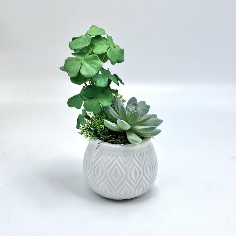 Загружен программно: img_8472.jpg