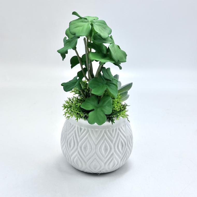 Загружен программно: img_8474.jpg