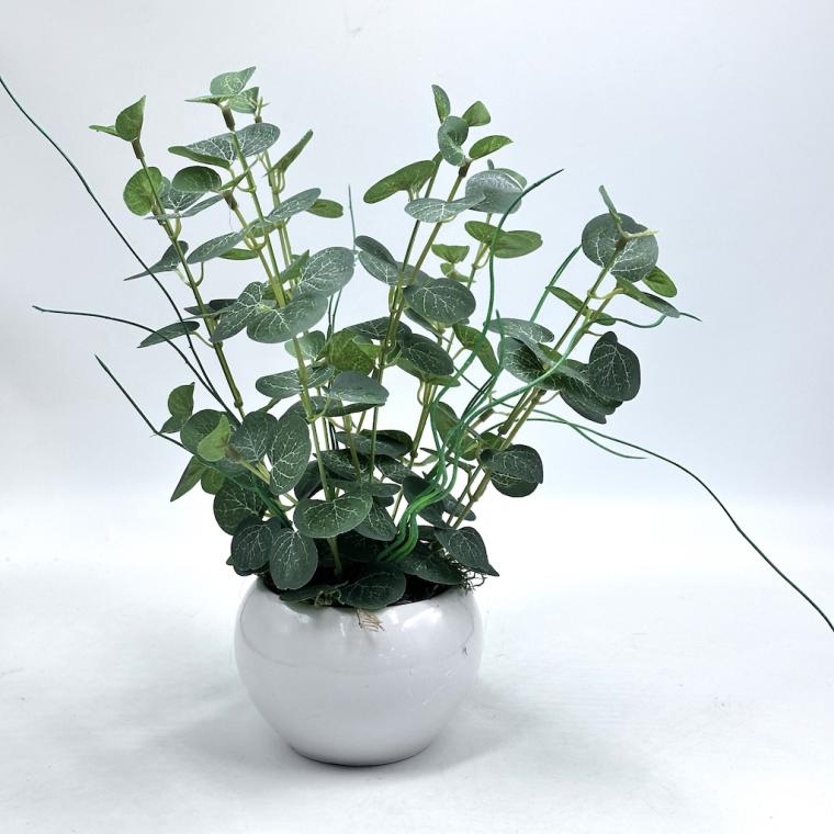 Загружен программно: img_8482.jpg