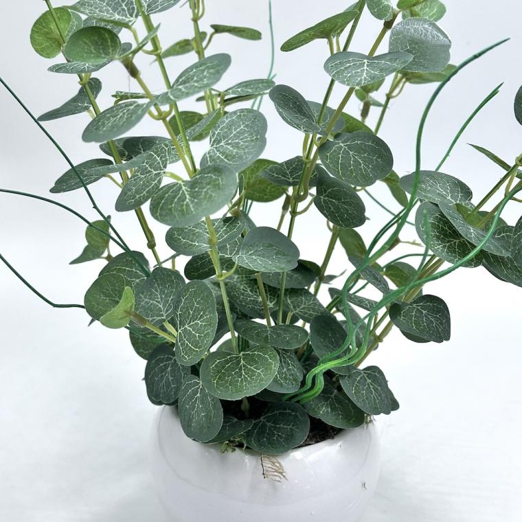 Загружен программно: img_8483_0.jpg