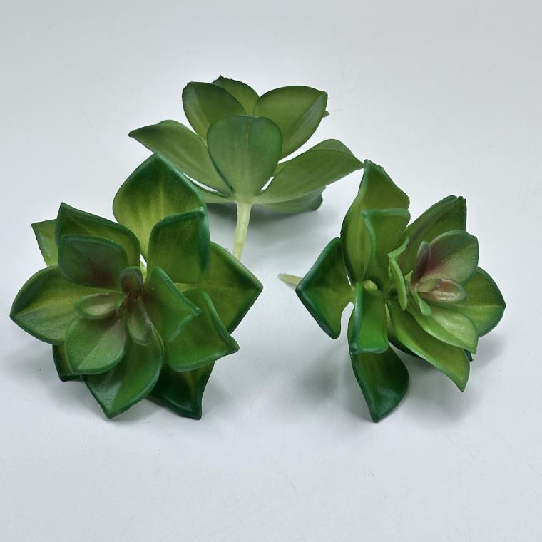 Загружен программно: img_8496.jpg