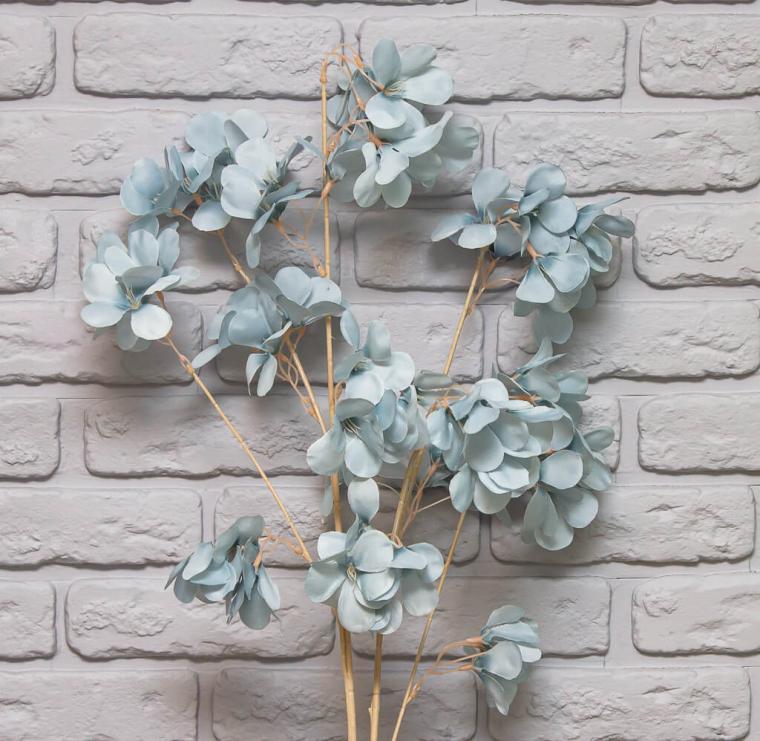 Загружен программно: img_8526.jpg