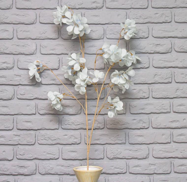 Загружен программно: img_8531.jpg