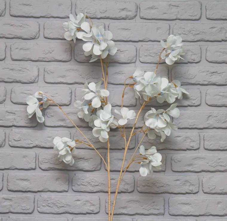 Загружен программно: img_8532.jpg