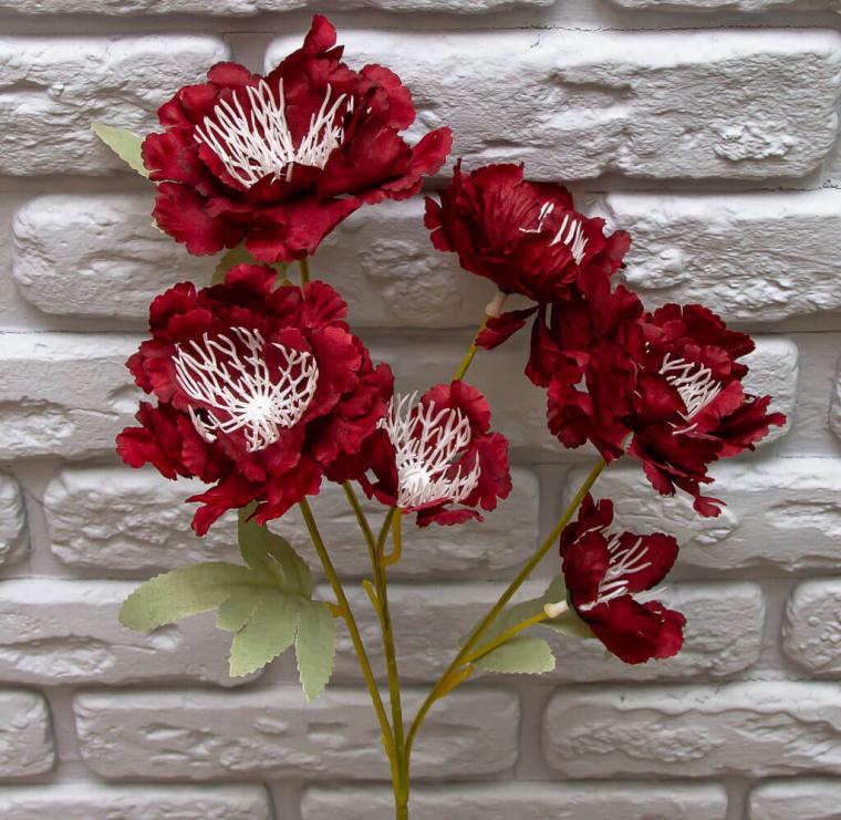 Загружен программно: img_8534.jpg