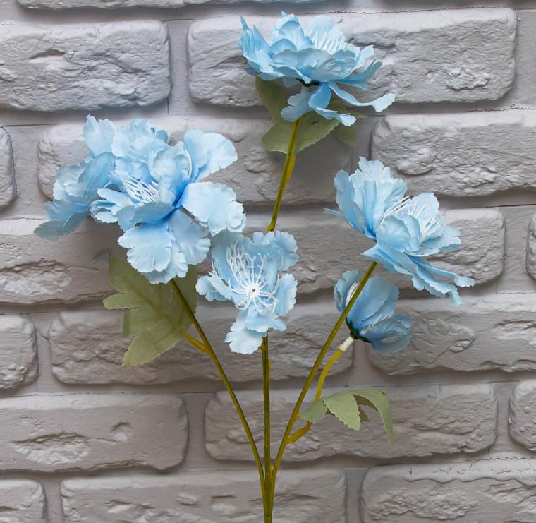 Загружен программно: img_8537.jpg