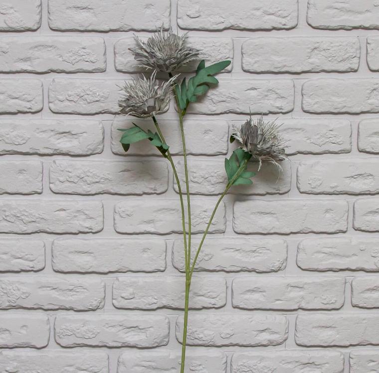 Загружен программно: img_8657.jpg