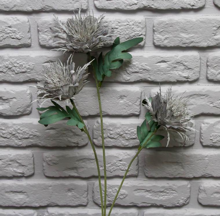 Загружен программно: img_8658.jpg