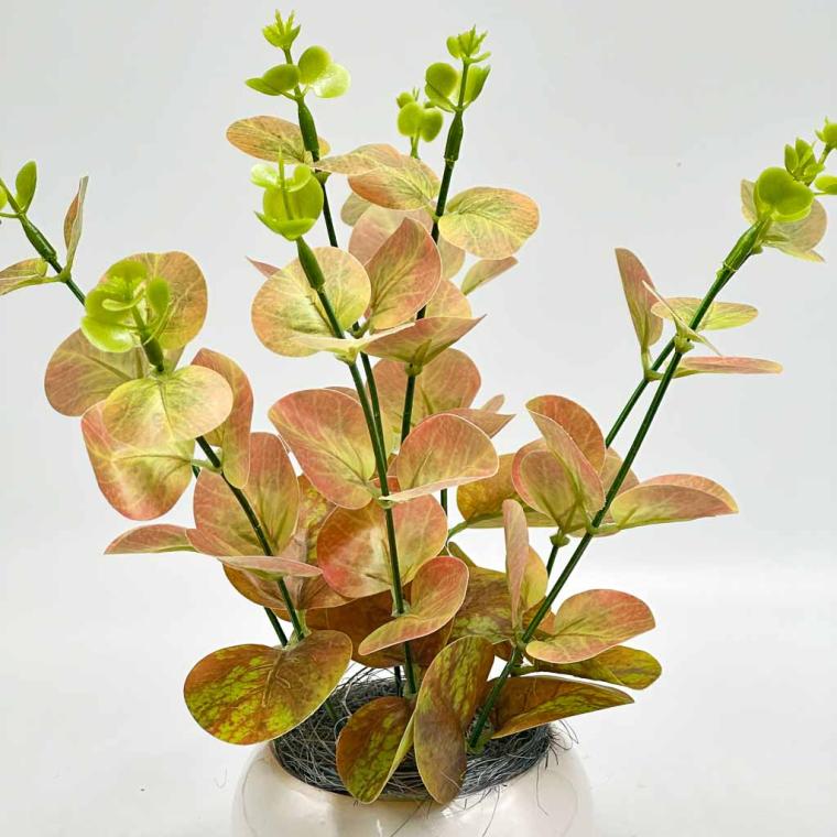 Загружен программно: img_8679.jpg