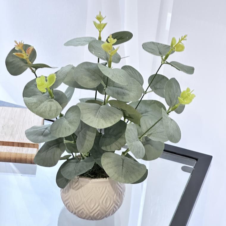 Загружен программно: img_8830.jpeg