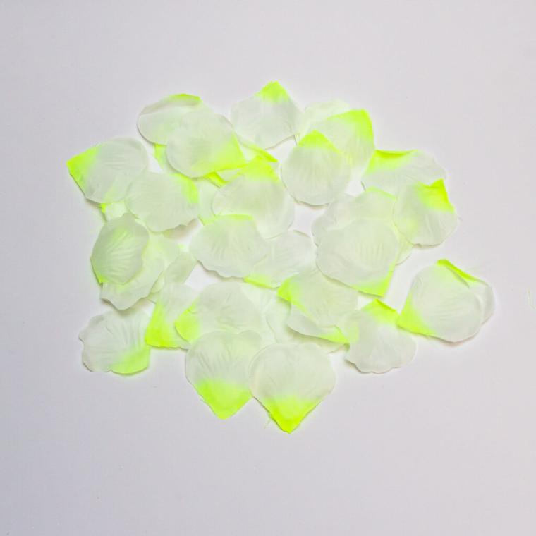 Загружен программно: img_8872.jpg