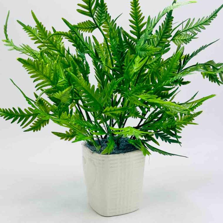 Загружен программно: img_8978.jpg