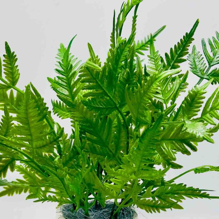 Загружен программно: img_8980.jpg