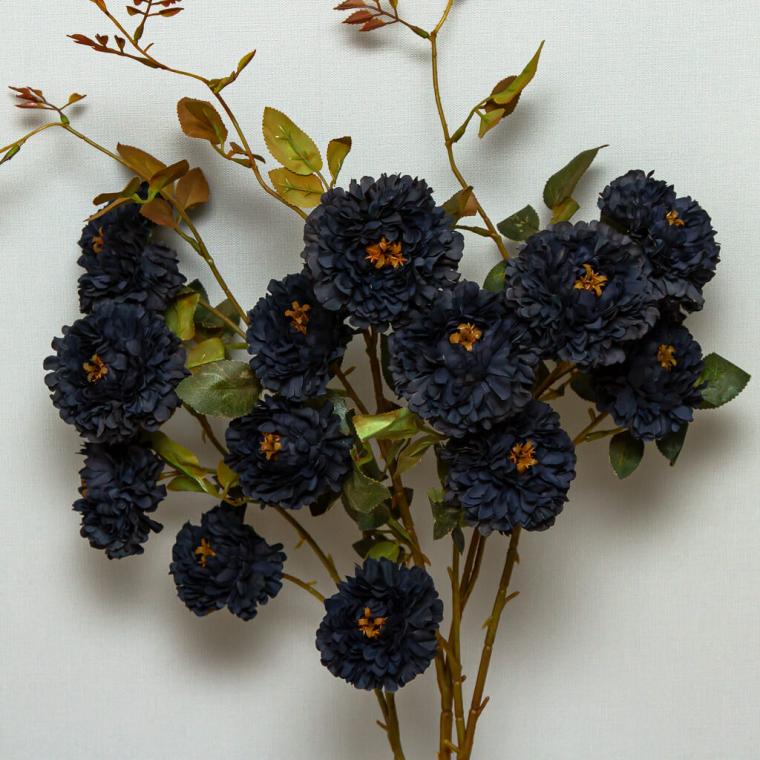 Загружен программно: img_9191.jpg