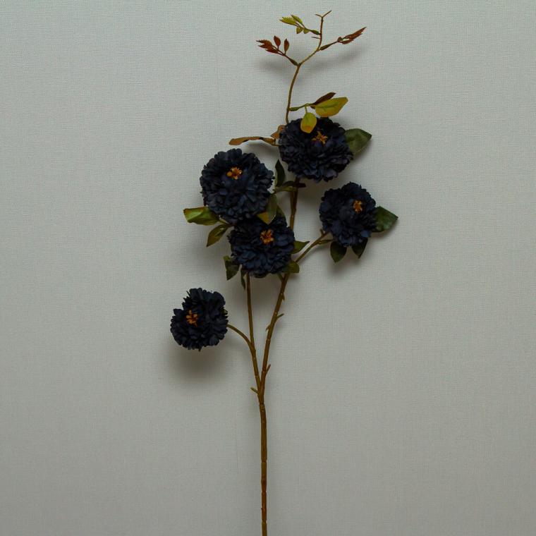 Загружен программно: img_9192.jpg