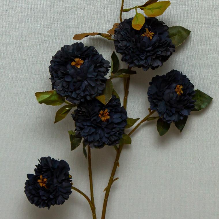 Загружен программно: img_9193.jpg