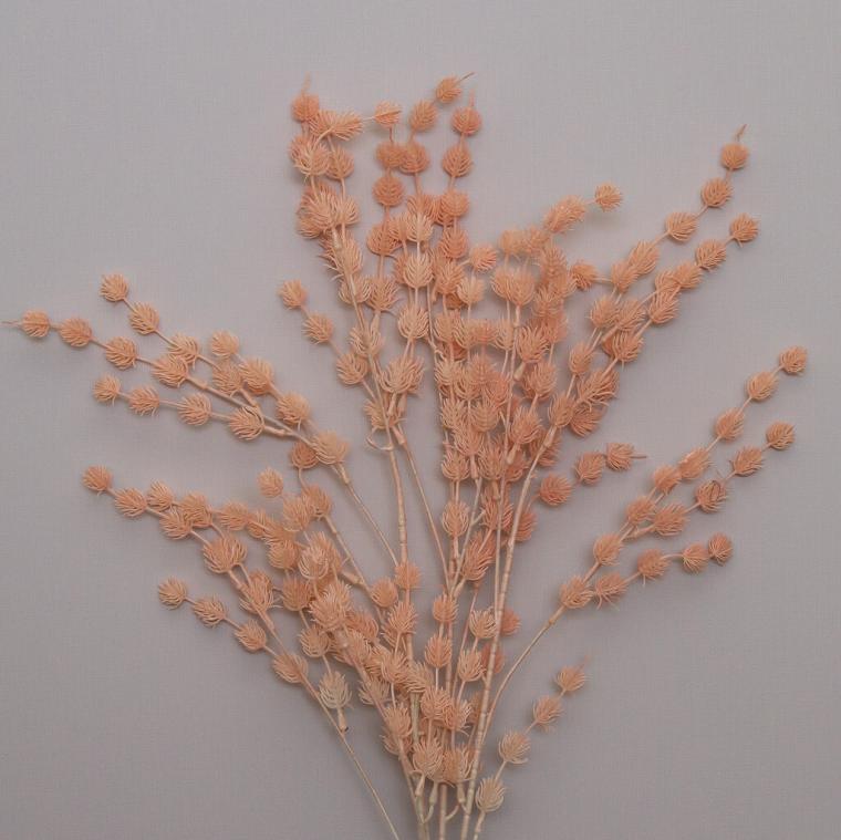 Загружен программно: img_9224.jpg