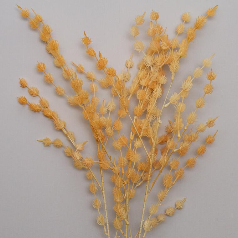 Загружен программно: img_9228.jpg