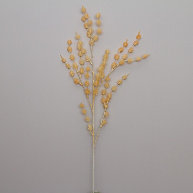 Загружен программно: img_9229.jpg